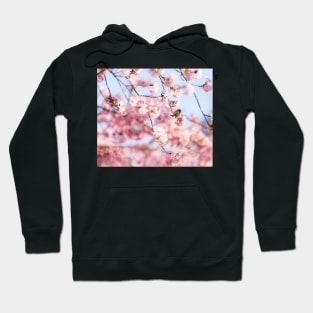 Floral And Sparrow Hoodie